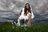 A model in a white dress and white over-the-knee socks, sitting in bright sun on grass with clover.